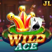 Wild Ace slo100 slot game